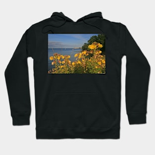 Studland Hoodie